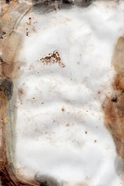 artwork Yuliana Paranko -  - How nature affects the picture