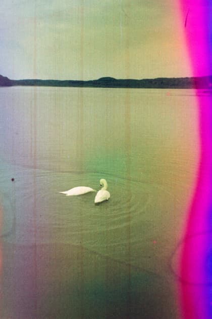 artwork Yuliana Paranko -  - How nature affects the picture