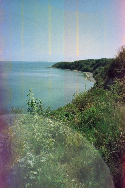 artwork Yuliana Paranko -  - How nature affects the picture