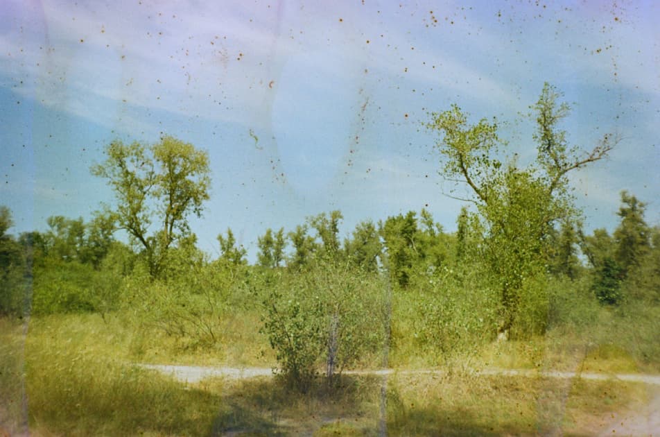 artwork Yuliana Paranko -  - How nature affects the picture