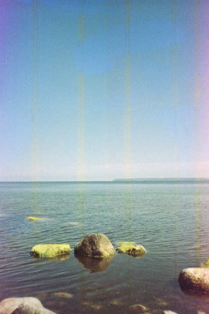 artwork Yuliana Paranko -  - How nature affects the picture