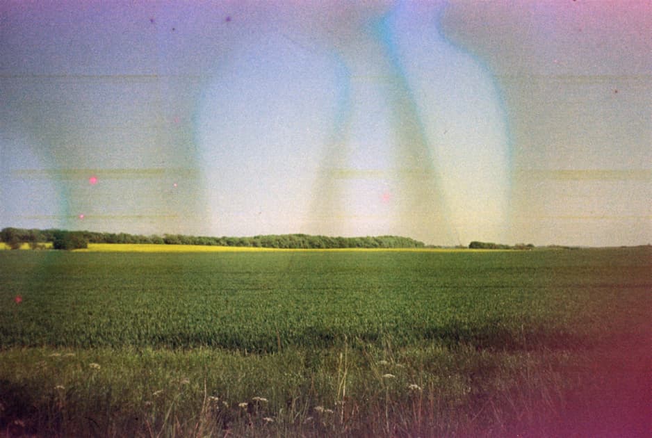 artwork Yuliana Paranko -  - How nature affects the picture