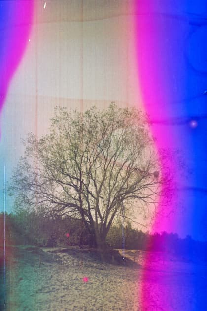 artwork Yuliana Paranko -  - How nature affects the picture