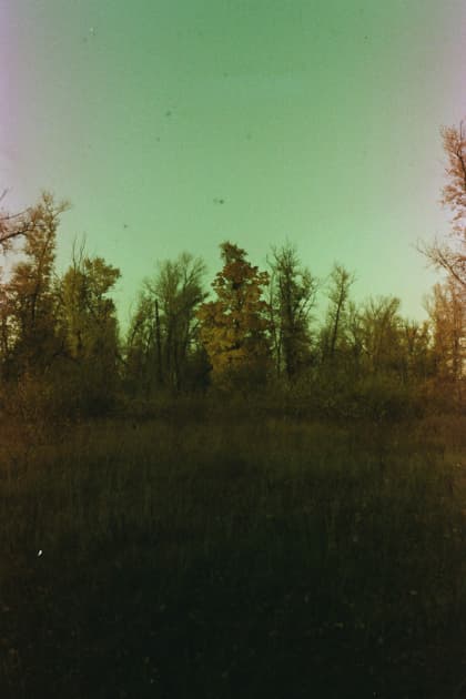 artwork Yuliana Paranko -  - How nature affects the picture