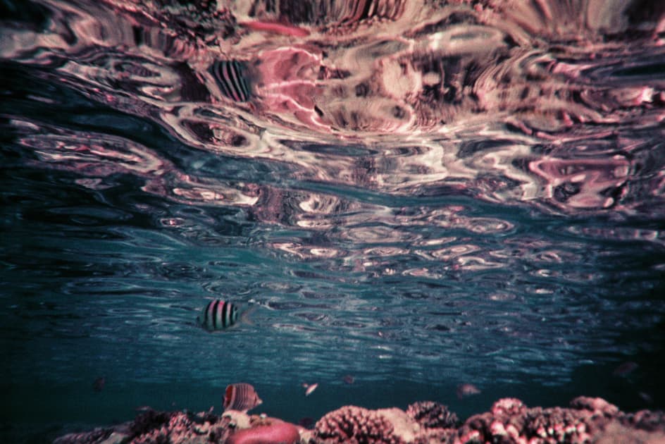 artwork Yuliana Paranko -  - Touch the bottom
