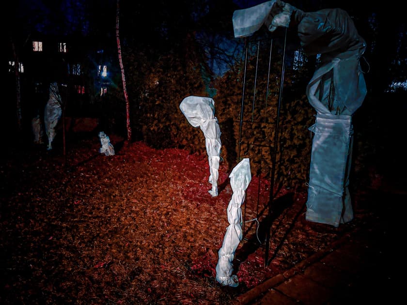 artwork Kaja Krawczyk -  -  Backyard