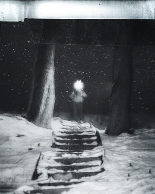 artwork Khrystyna Fedorak -  -  Confession of Shadows