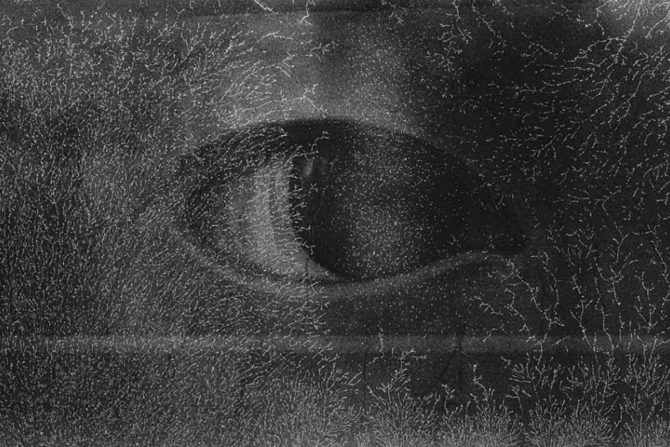 artwork Khrystyna Fedorak -  -  Confession of Shadows