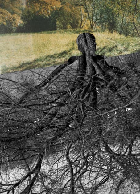 artwork Khrystyna Fedorak -  -  The Soil