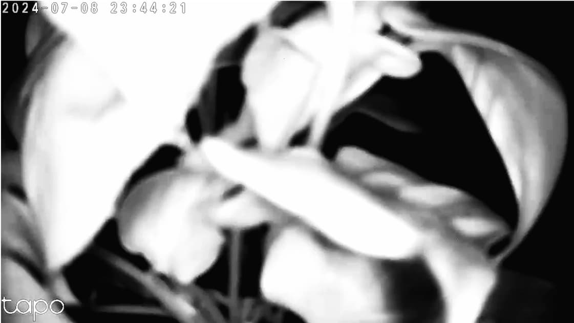 artwork Anastasiia Mietielieva (Brunnen) -  -  Empathy Theory