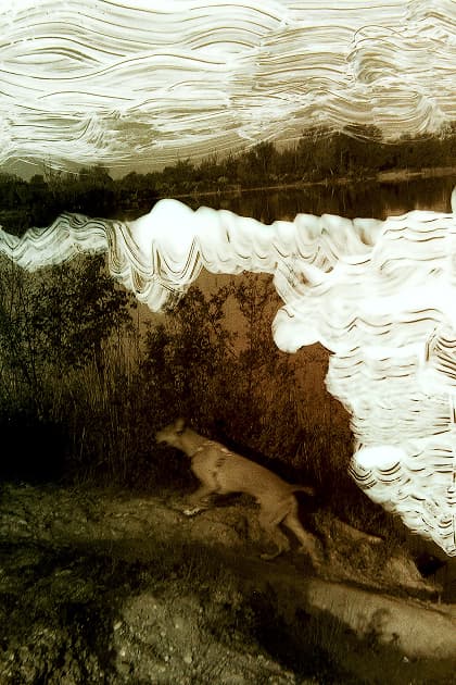 artwork Anastasiia Mietielieva (Brunnen) -  - You and i are in this ourselves