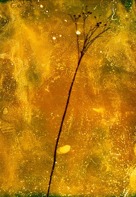 artwork Artur Byzenko -  -  The negative mood