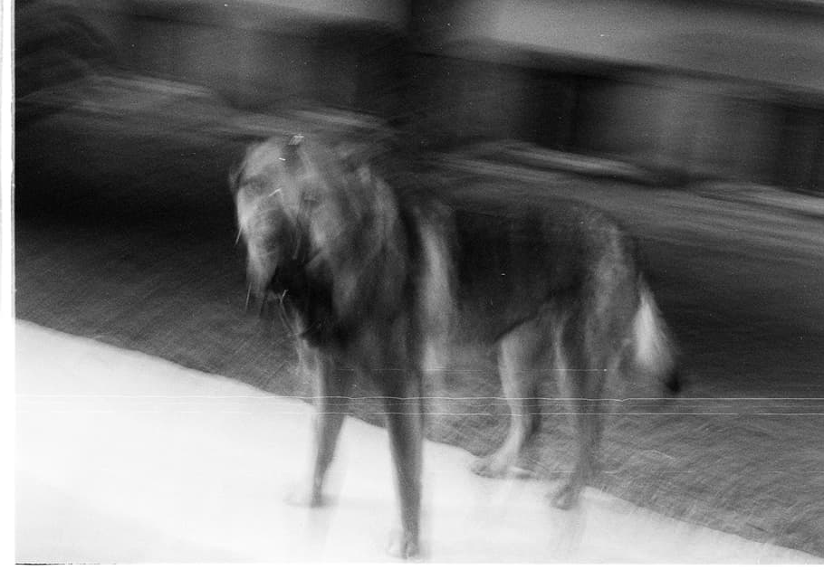 artwork Artur Byzenko -  -  Neither peace nor war