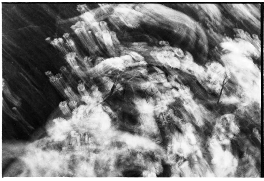 artwork Artur Byzenko -  -  Neither peace nor war