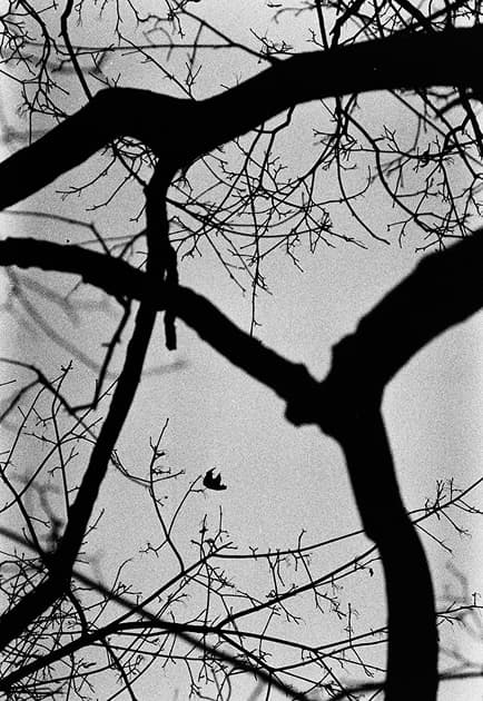 artwork Artur Byzenko -  -  Neither peace nor war