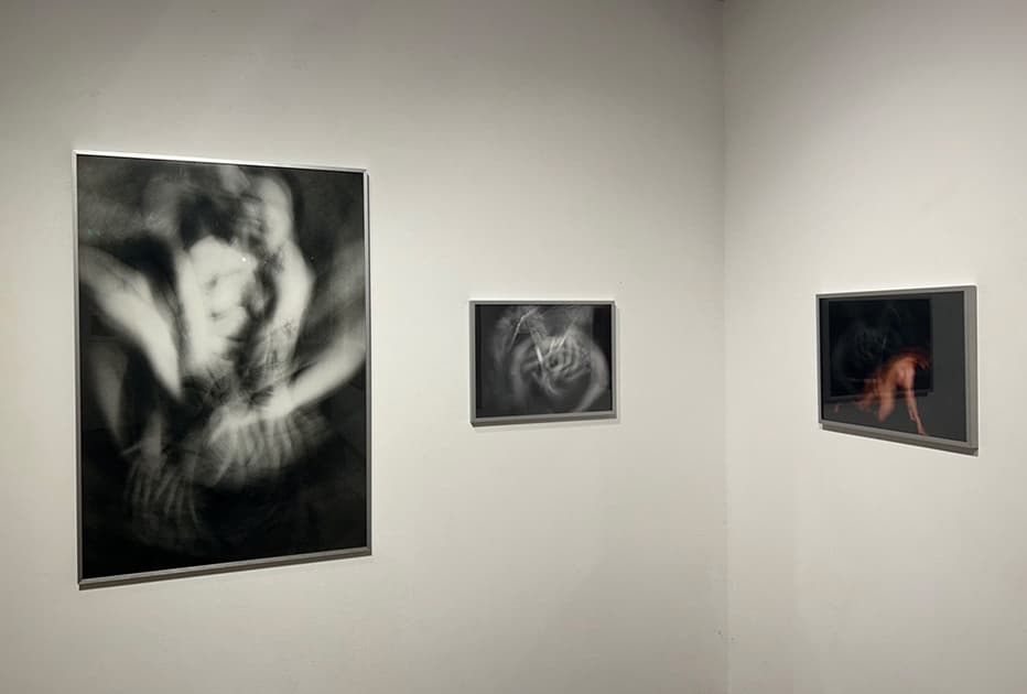artwork Eva Fomitski -  - Displacement
