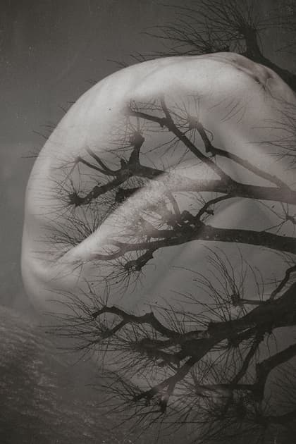 artwork Iryna Vlasiuk -  - Grounding
