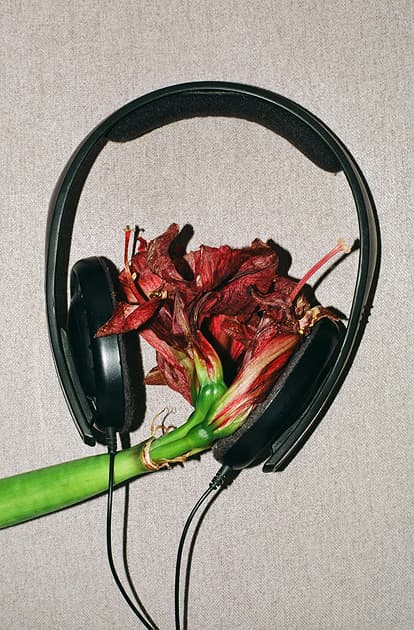 artwork Iryna Vlasiuk -  - Life cycle