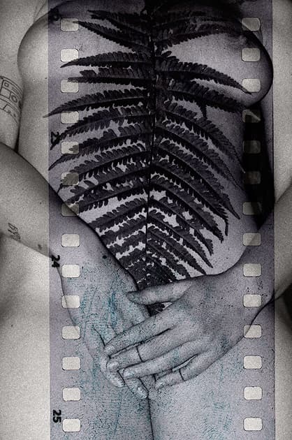artwork Iryna Vlasiuk -  - Separate works