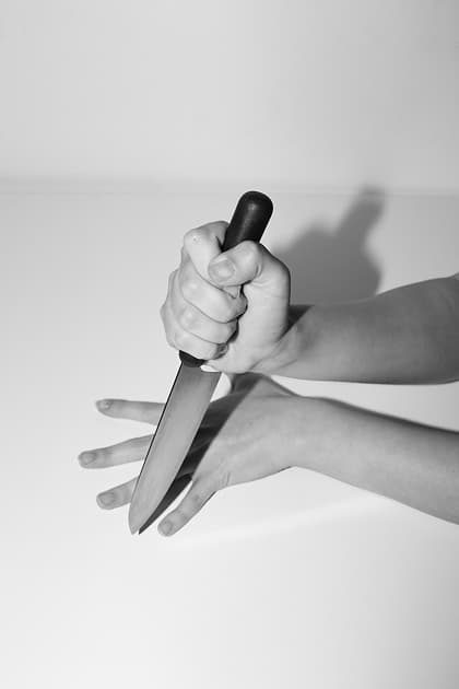 artwork Kristina Mos -  - Handbook of fragility