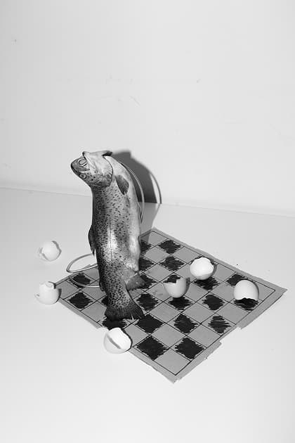 artwork Kristina Mos -  - Handbook of fragility