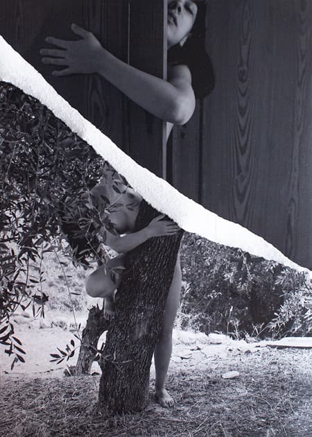 artwork Kristina Mos -  - Metamorphosis