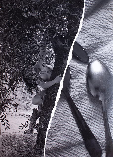artwork Kristina Mos -  - Metamorphosis