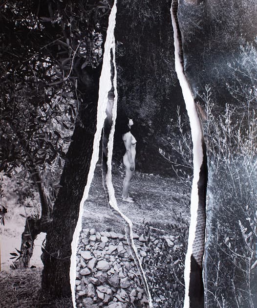 artwork Kristina Mos -  - Metamorphosis