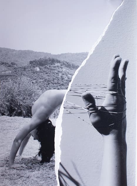 artwork Kristina Mos -  - Metamorphosis