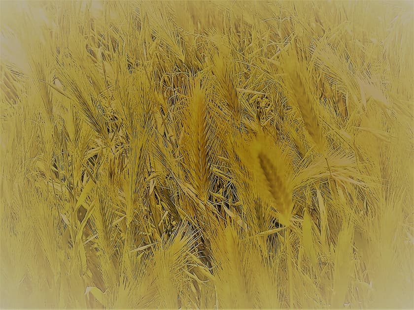 artwork Олександра В’язінько -  - Видиме випромінювання