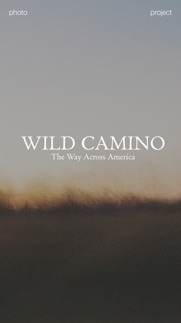 artwork Tetiana Udovychenko - WILD CAMINO: The Way Across America