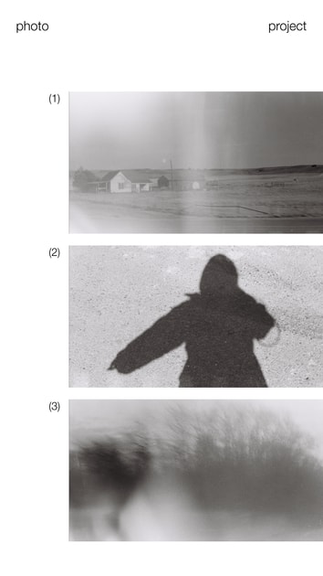 artwork Tetiana Udovychenko - WILD CAMINO: The Way Across America