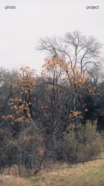 artwork Tetiana Udovychenko - WILD CAMINO: The Way Across America
