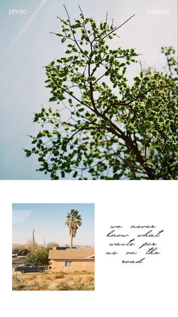 artwork Tetiana Udovychenko - WILD CAMINO: The Way Across America