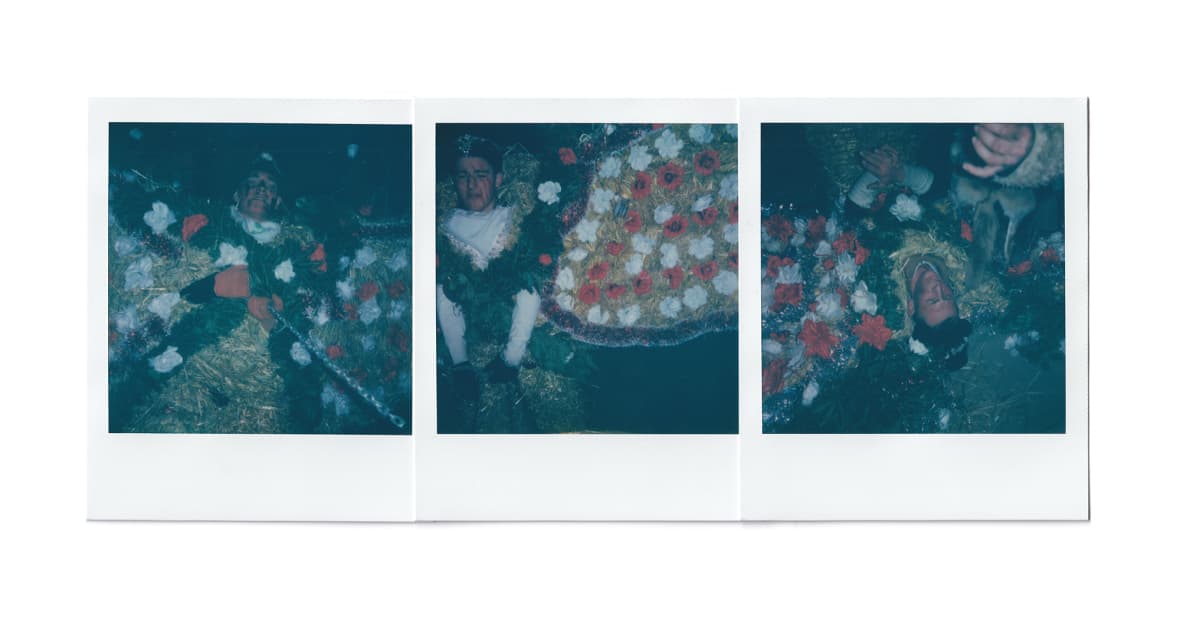 artwork Veronika Mol - - Malanka A Ukrainian carnival