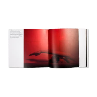 print MYPH Молода Миколаївська Фотографія 