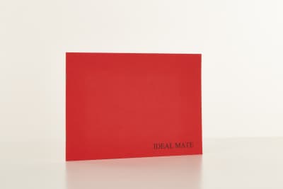 print Зін Ideal mate