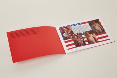 print Зін Ideal mate