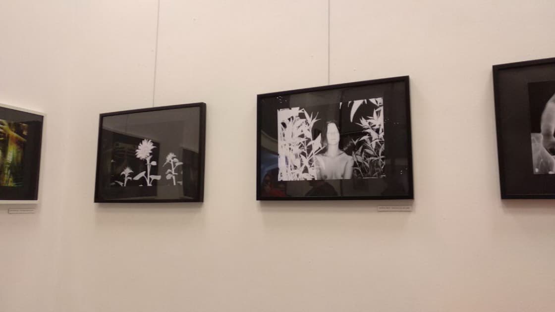 exhibition MYPH в CTRL ART Studio