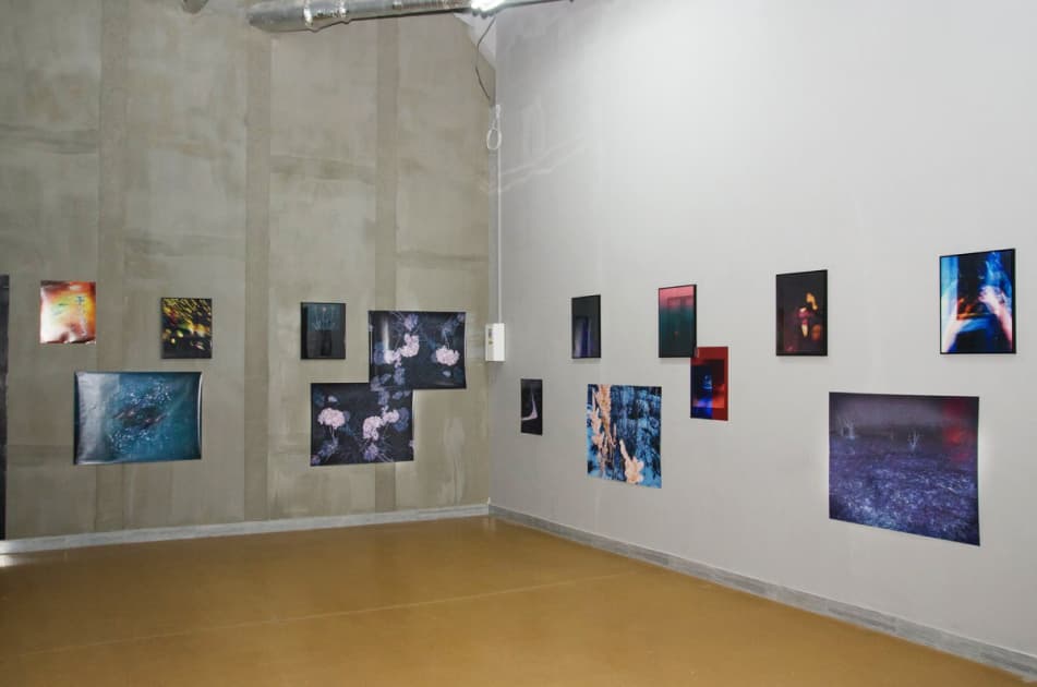 exhibition MYPH Роксолана Засядько Ми / ІІ