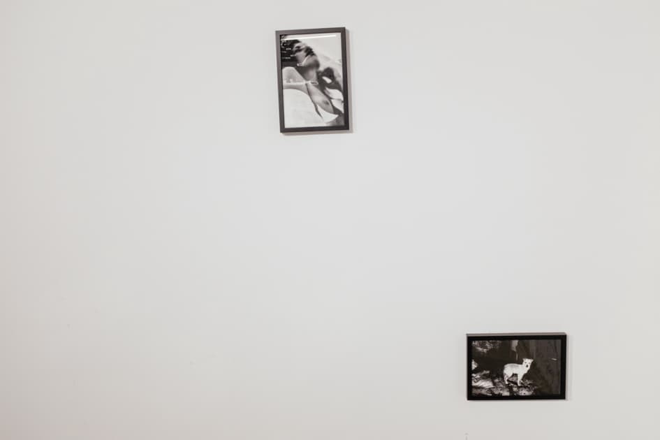 exhibition MYPH Засоби впливу