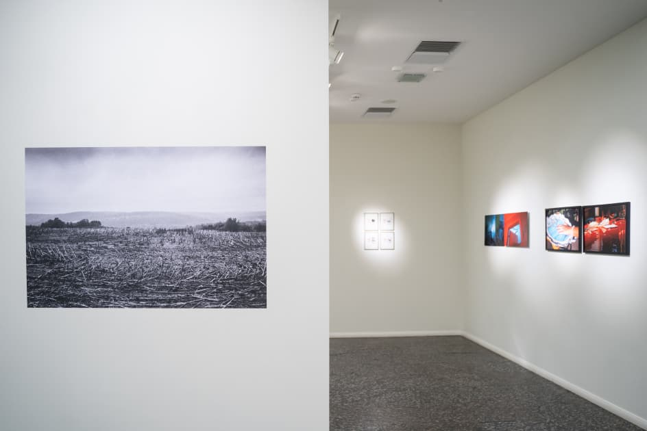 exhibition MYPH у галереї Dymchuk