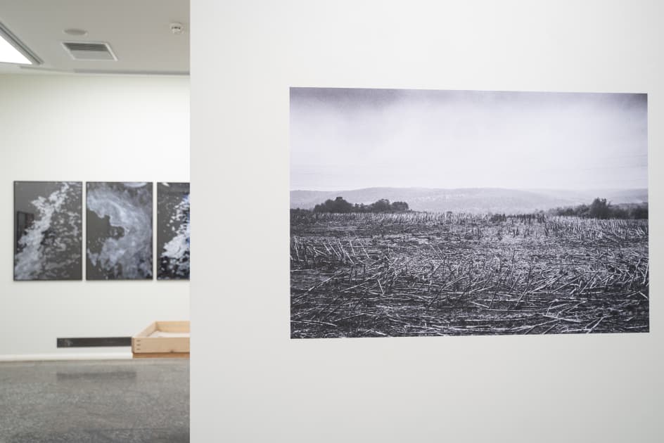 exhibition MYPH у галереї Dymchuk