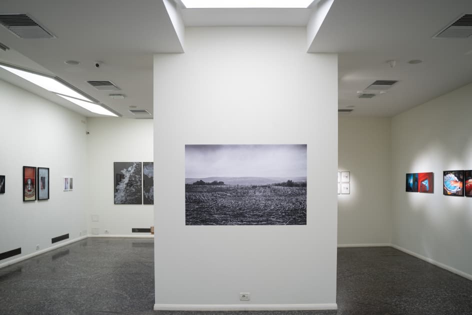 exhibition MYPH у галереї Dymchuk