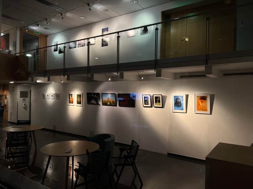 exhibition MYPH Фестиваль Фотографії Rotlicht