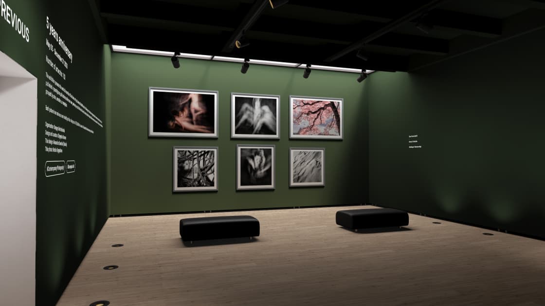 exhibition MYPH 5 YEARS ANNIVERSARY