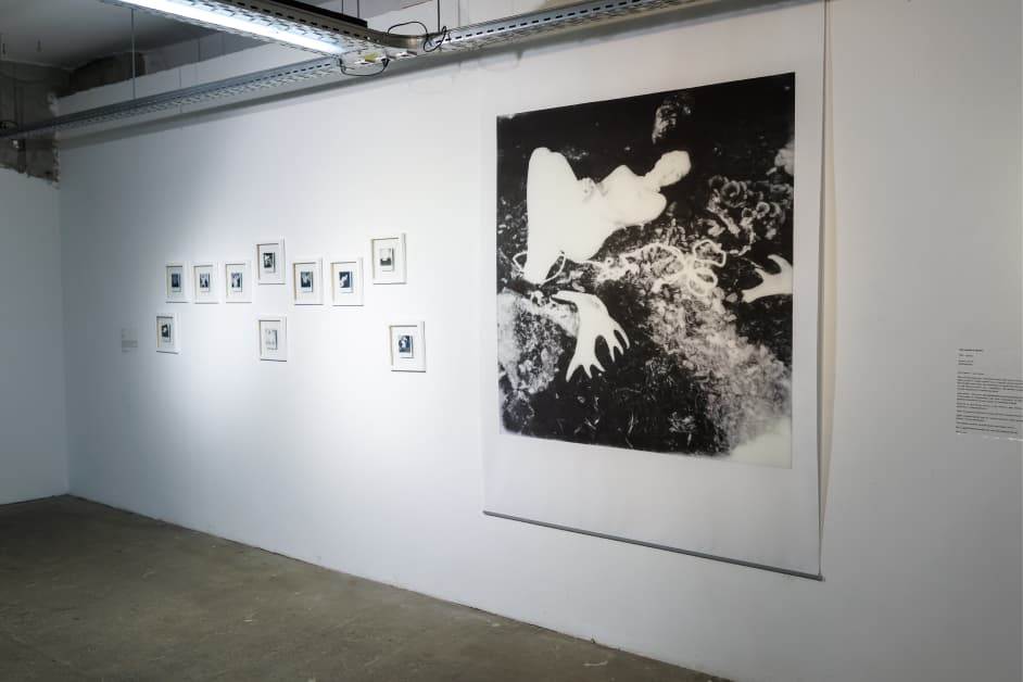 exhibition Нові MYPhології