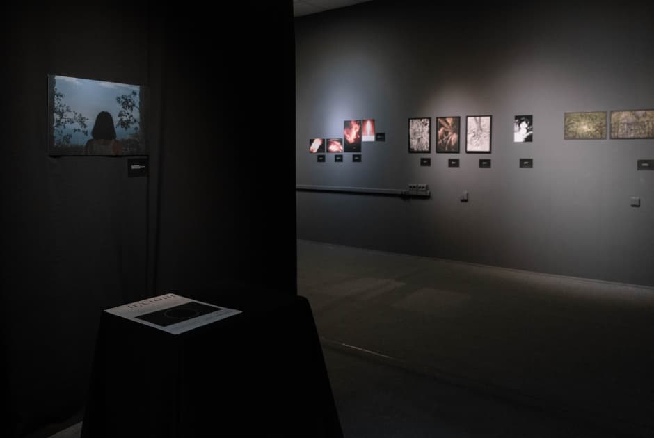 exhibition Якщо ти довго дивишся в пустóти