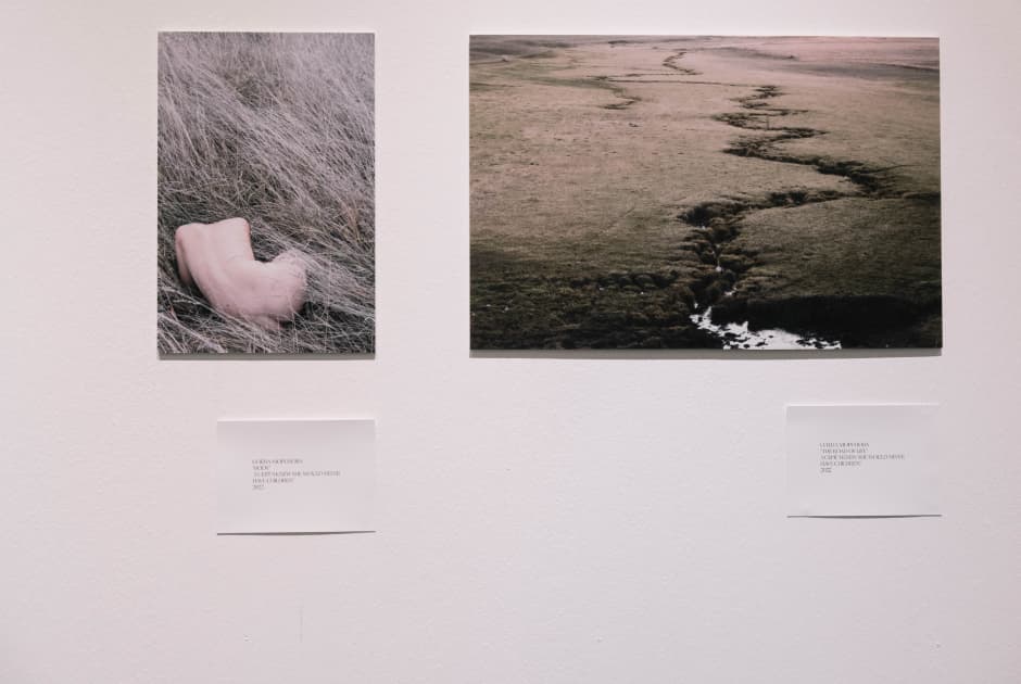 exhibition Якщо ти довго дивишся в пустóти