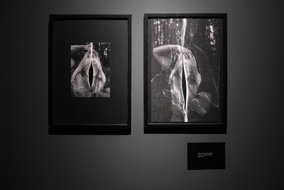 exhibition Якщо ти довго дивишся в пустóти